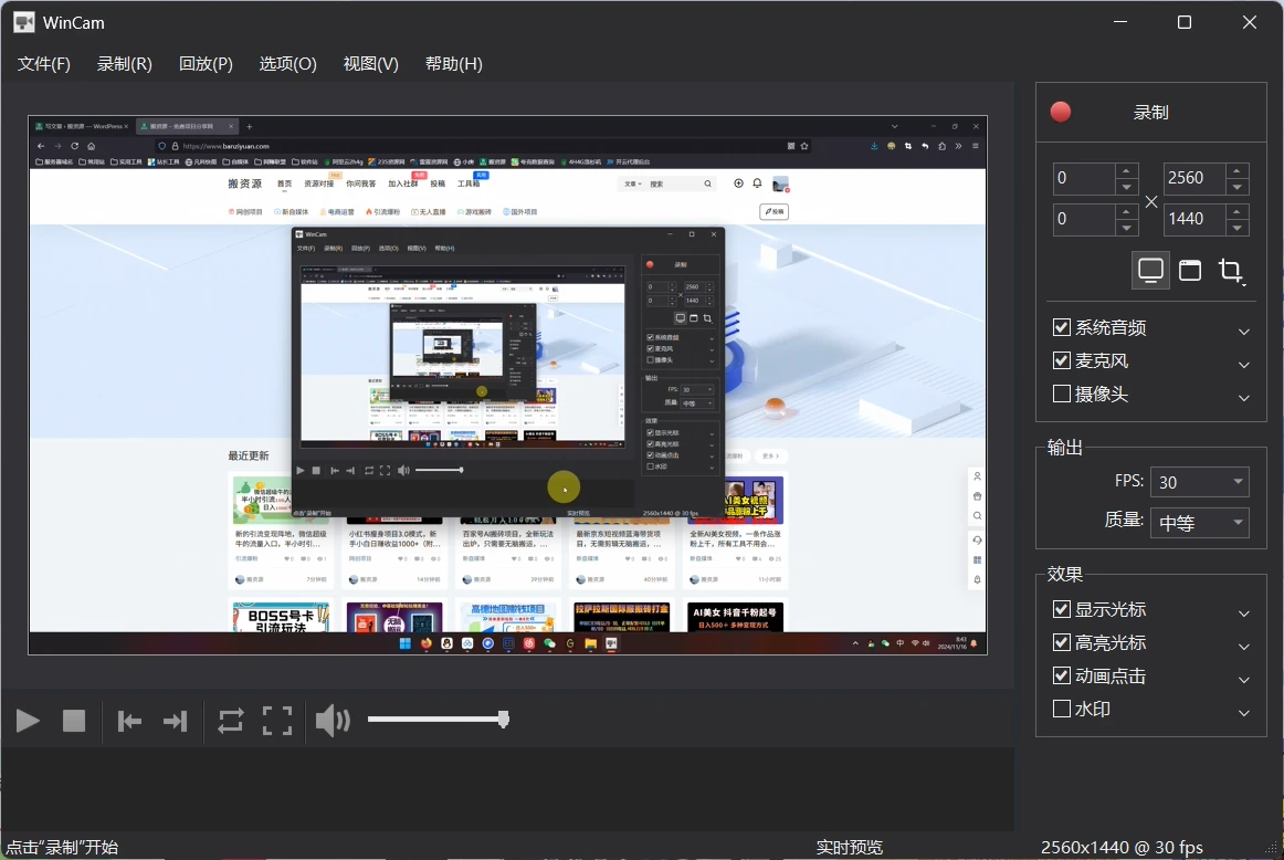 WinCam(屏幕录制)v3.9 修改版 第1张