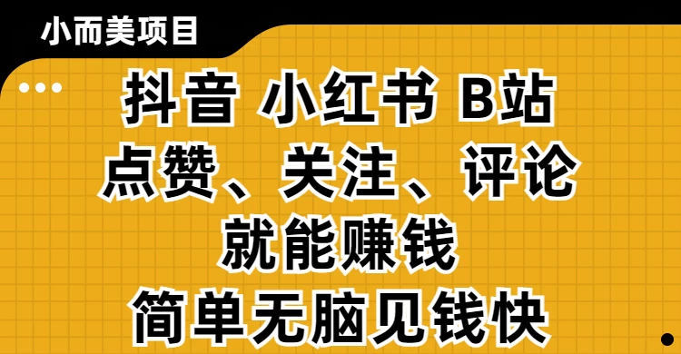 小而美的项目，抖音、小红书、B站视频点赞、关注、评论就能赚钱，简单无脑立见收益!妥妥的零撸项目