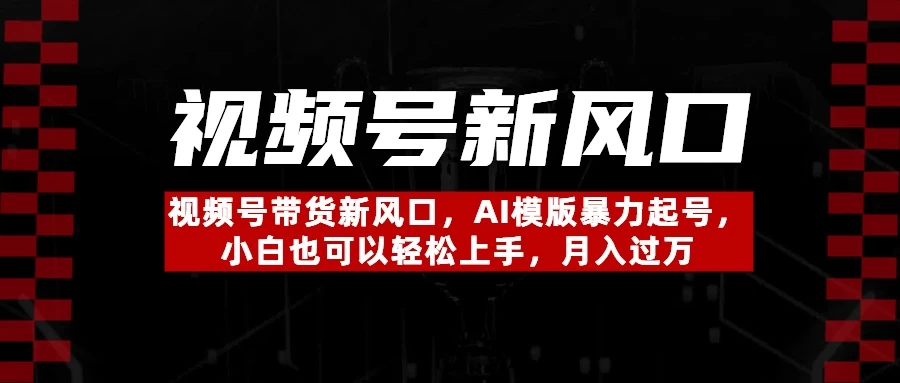 视频号带货新风口,AI模版暴力起号,小白也可以轻松上手,月入过万 第1张 视频号带货新风口,AI模版暴力起号,小白也可以轻松上手,月入过万 第1张
