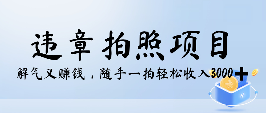 解气又赚钱的项目,最新违章拍照赚钱,随手一拍,轻松收入3000+
